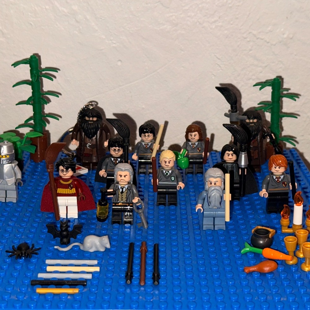 LEGO Harry Potter Minifigure Set with Accessories